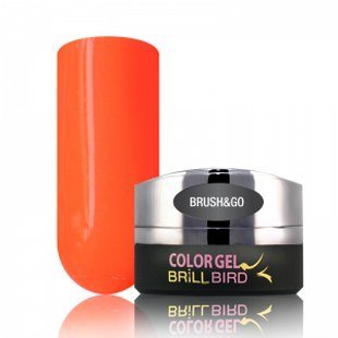 Brush & Go Color Gel Go16 – 4.5ml