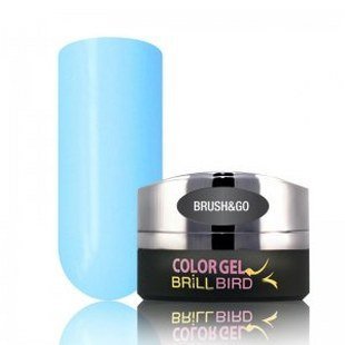 Brush & Go Color Gel Go25 – 4.5ml