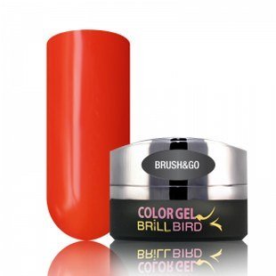Brush & Go Color Gel Go29 – 4.5ml