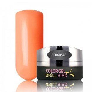 Brush & Go Color Gel Go54 – 4.5ml