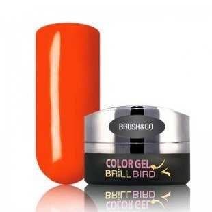 Brush & Go Color Gel Go71 – 4.5ml